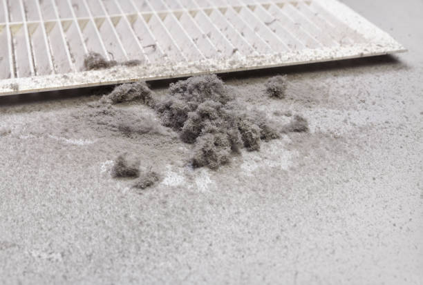 Best Air Duct Cleaning Near Me  in Parkersburg, IA