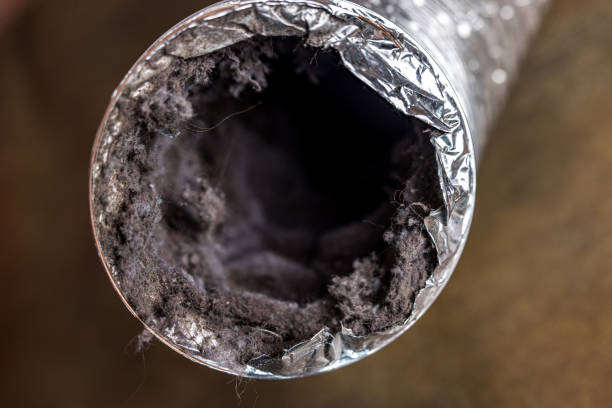 Best Affordable Duct Cleaning Services  in Parkersburg, IA